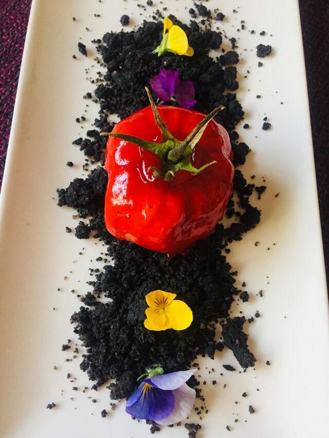 Trampantojo de Mousse de Pato con tierra de Remolacha 