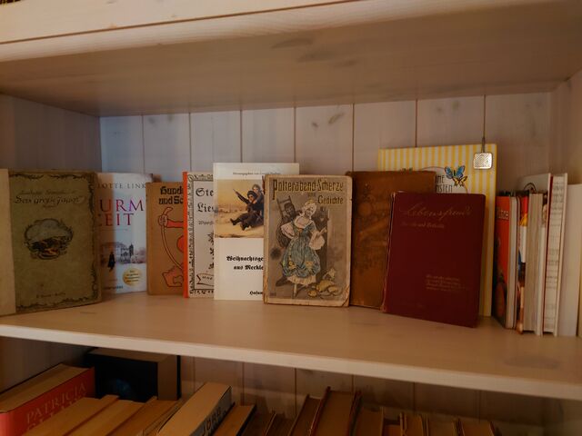 verträumt in unserer kleineren Bibliothek