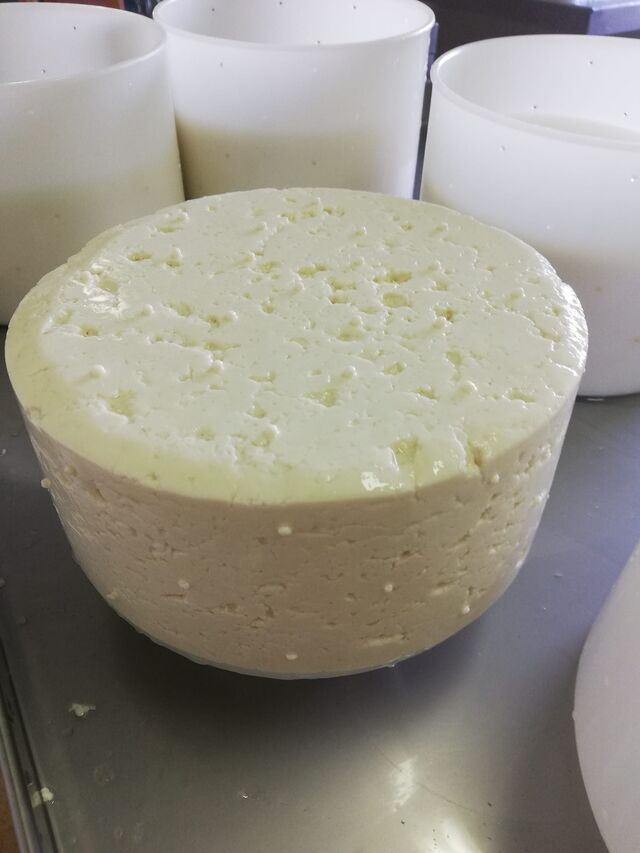 LA TOMME DE CHEVRE FRAICHE