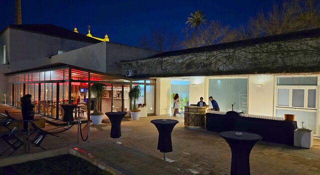 Alma Mater Terraza de noche