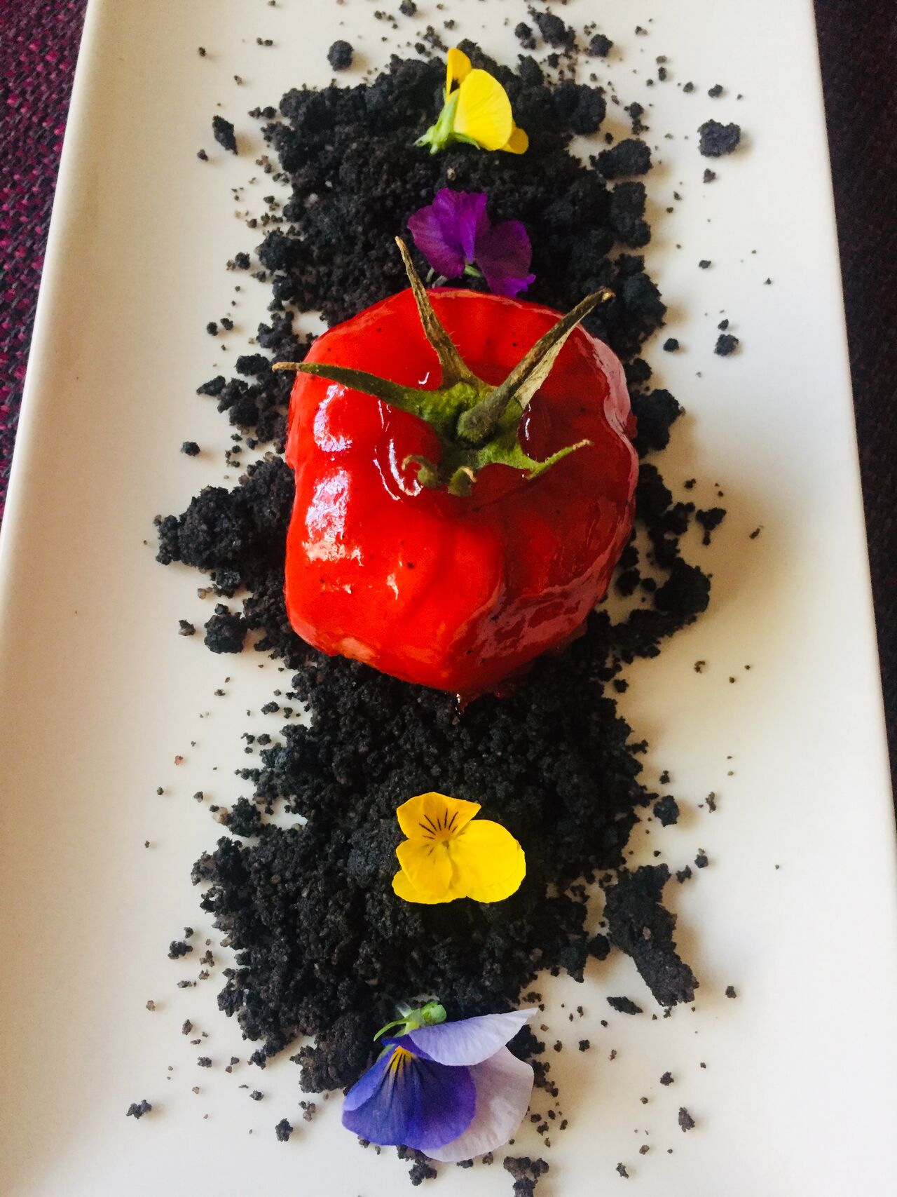 Trampantojo de Mousse de Pato con tierra de Remolacha 