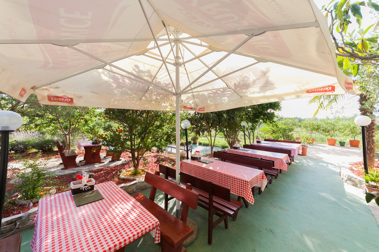 Our lovely terrace! - Konoba Maslina Pridraga