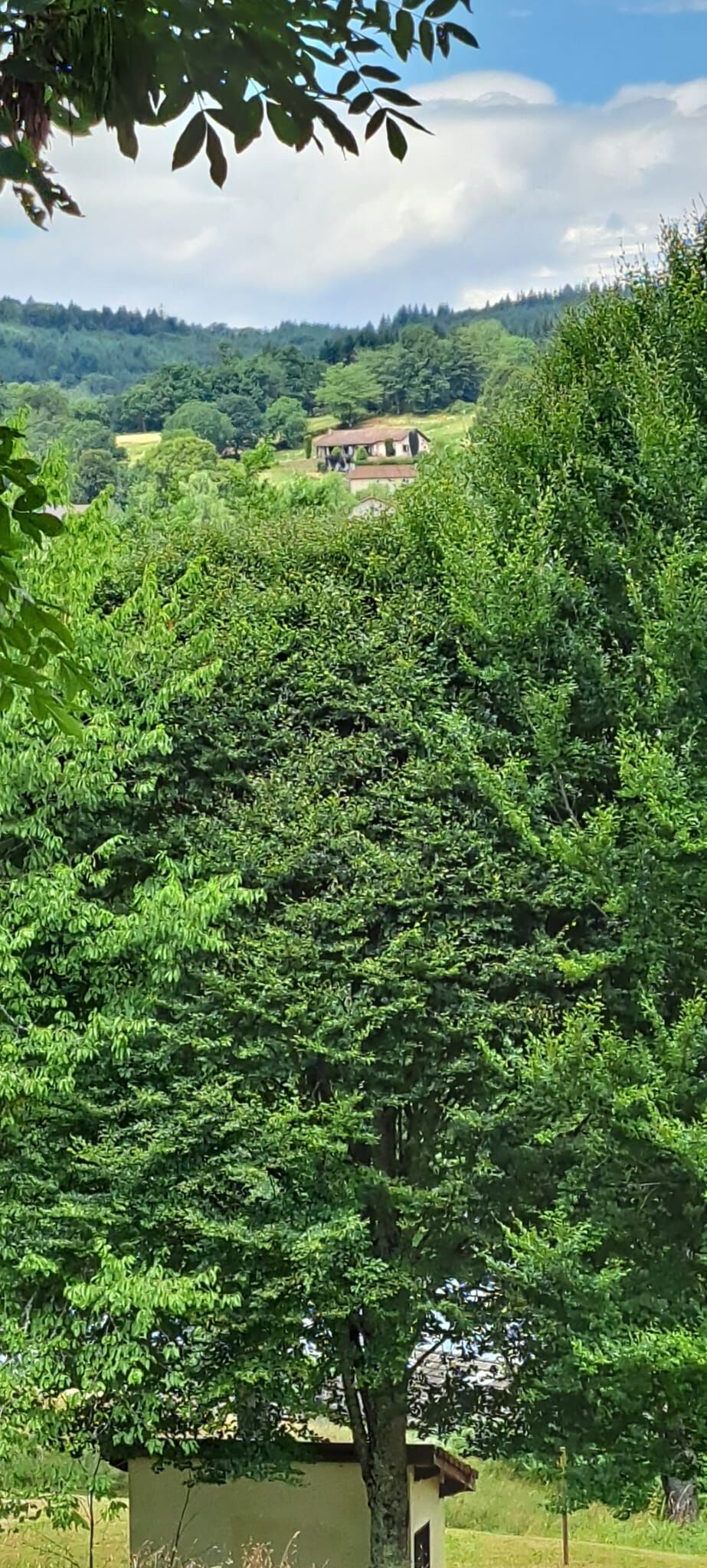 Vue sur l'auberge