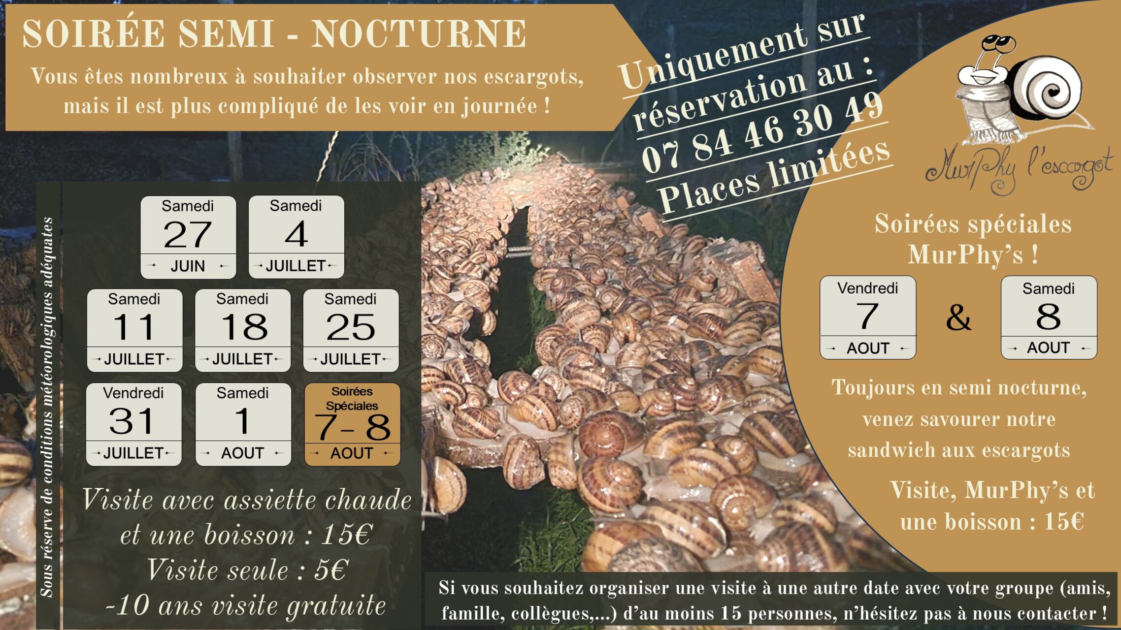 🌙✨ Les Semi-Nocturnes sont de retour ! ✨🌙