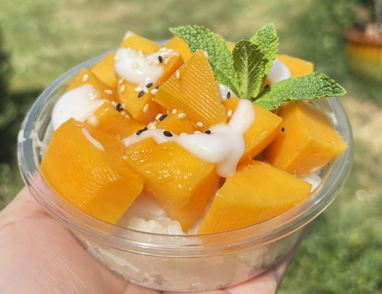 riz gluant a la mangue