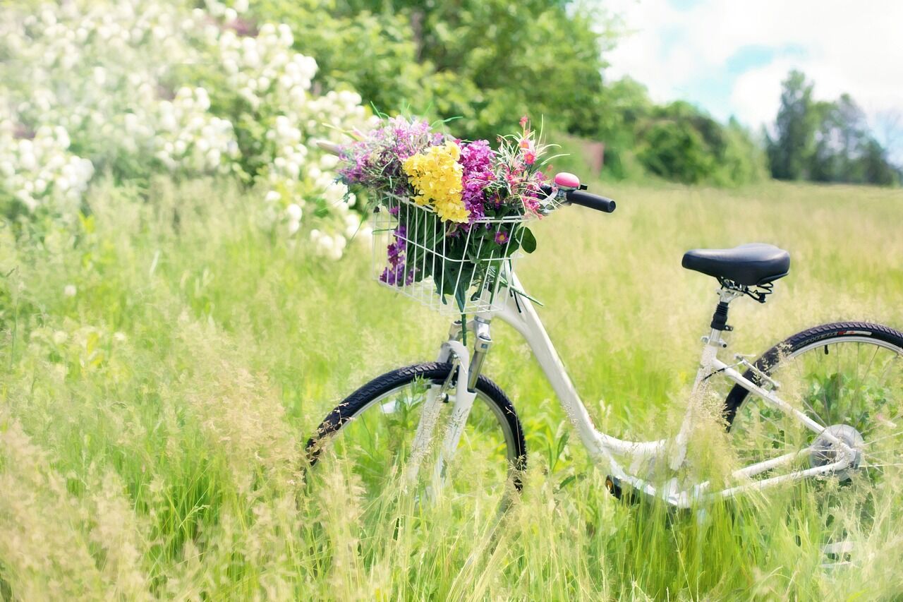 Prignitz mit dem Fahrrad erleben