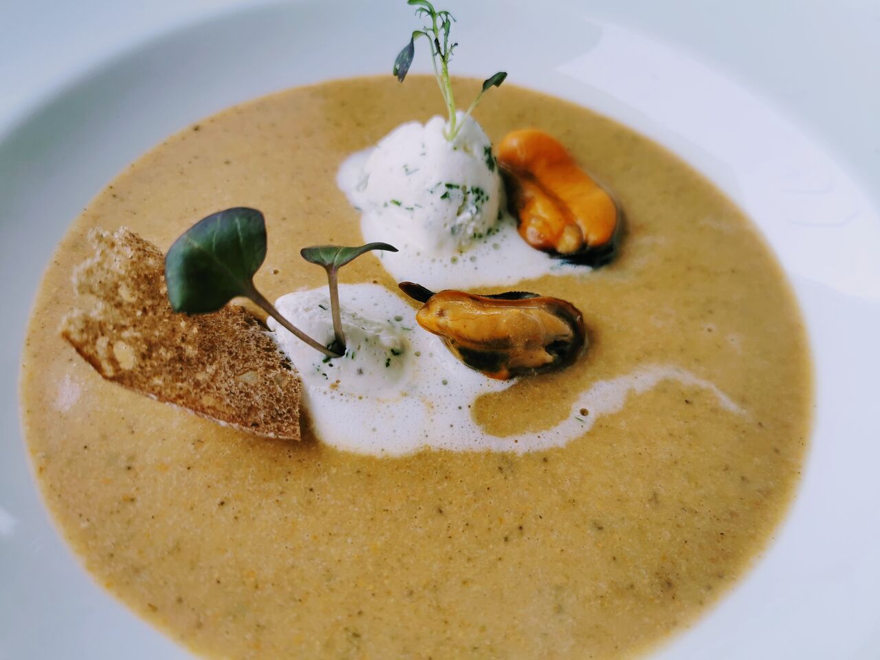 Soupe de moules à la crème d'aneth fraîche
Sopa de mejillones con crema fresca al eneldo
Mussel soup with fresh dill cream