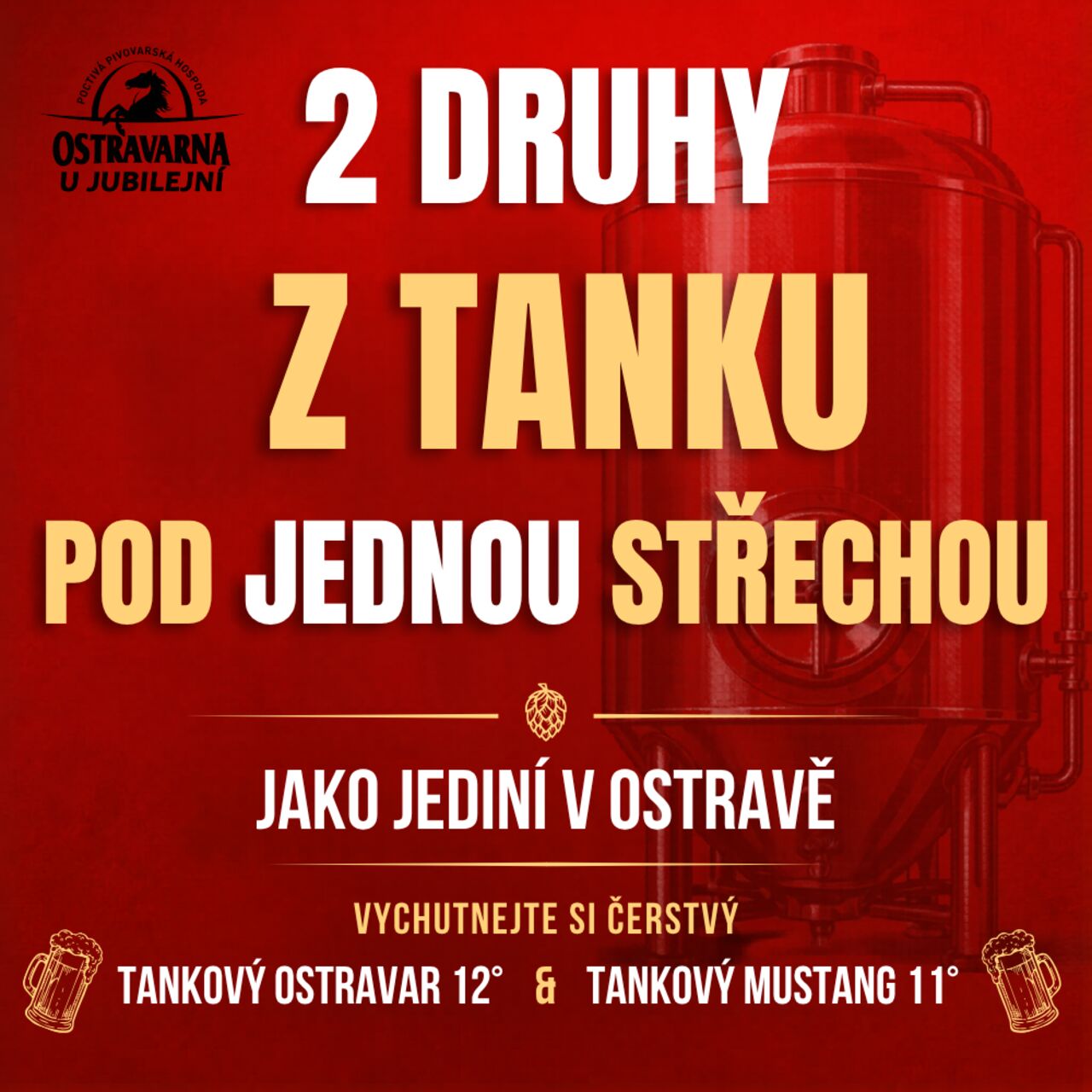 Jedině u nás.🥳