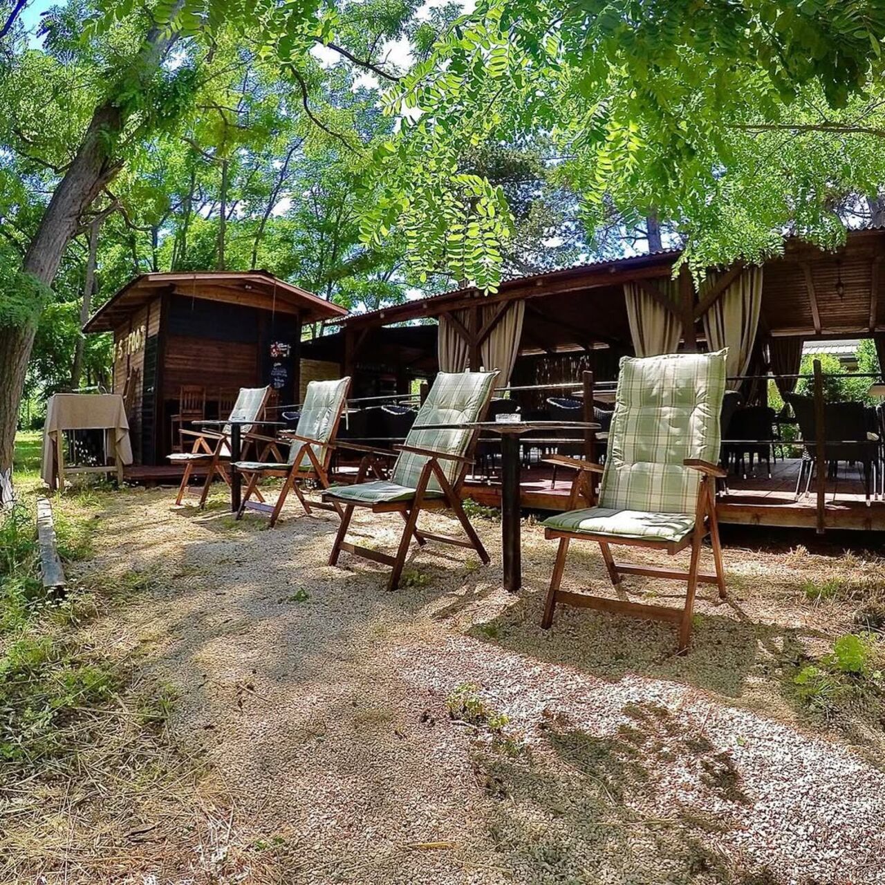 Tvoje mjesto pod suncem