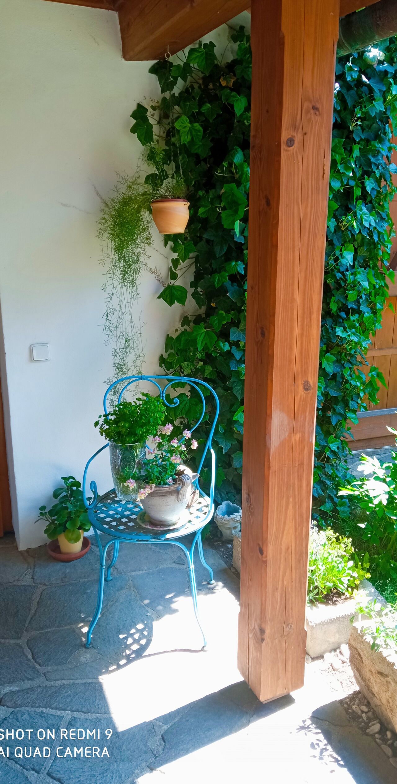 letní zátiší u hlavnícho vchodu