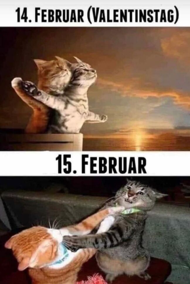 wir wünschen all unseren lieben Gästen einen schönen Valentinstag 2020