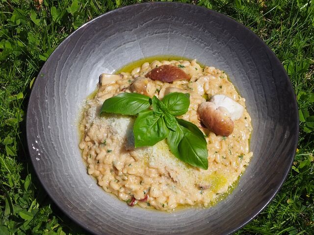 Risotto borowikowe Da Vinci