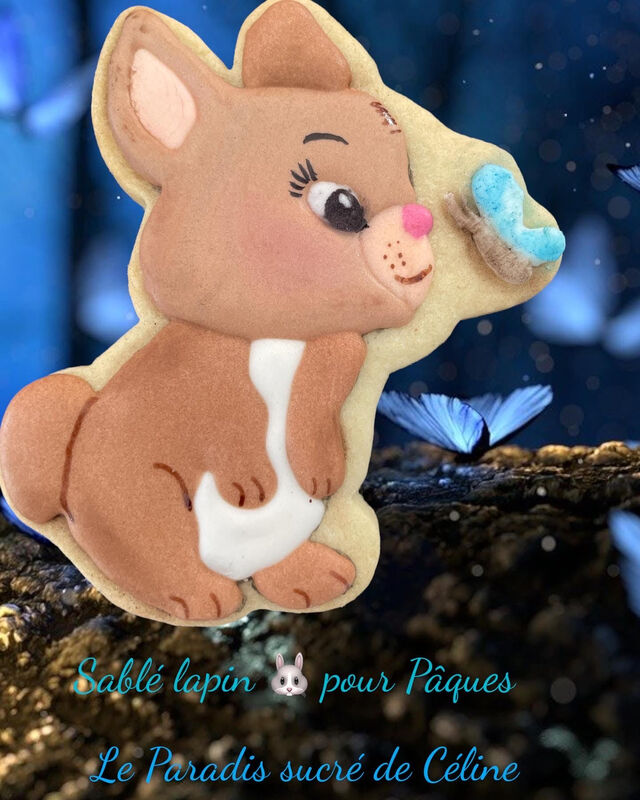 Sablé lapin qui découvre la nature est principalement un papillon . Ce biscuit est décoré de glaçage royale.