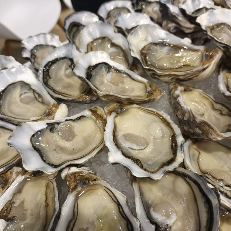 - Huîtres naturelles : de septembre à avril