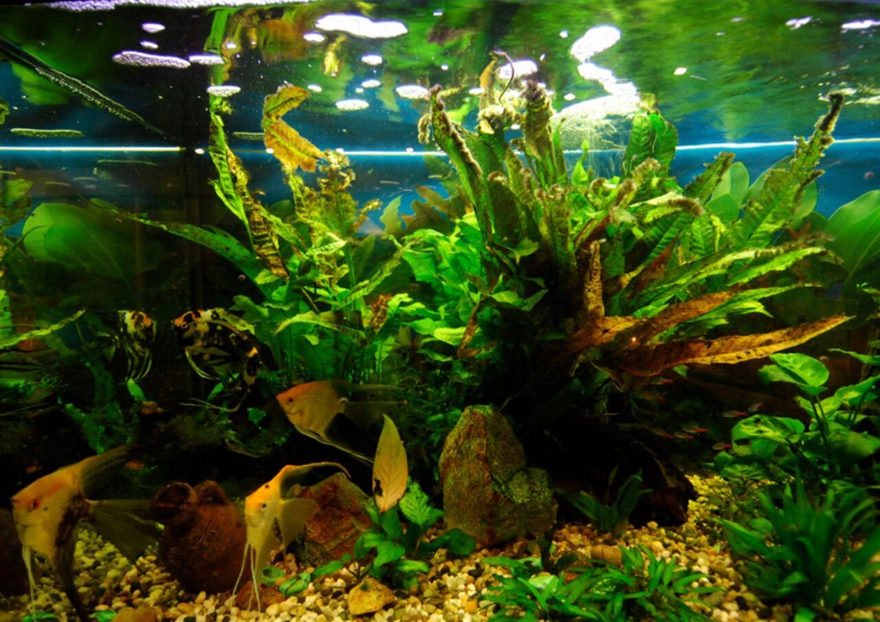 Hotel Da Rita. Dettaglio dell'interno