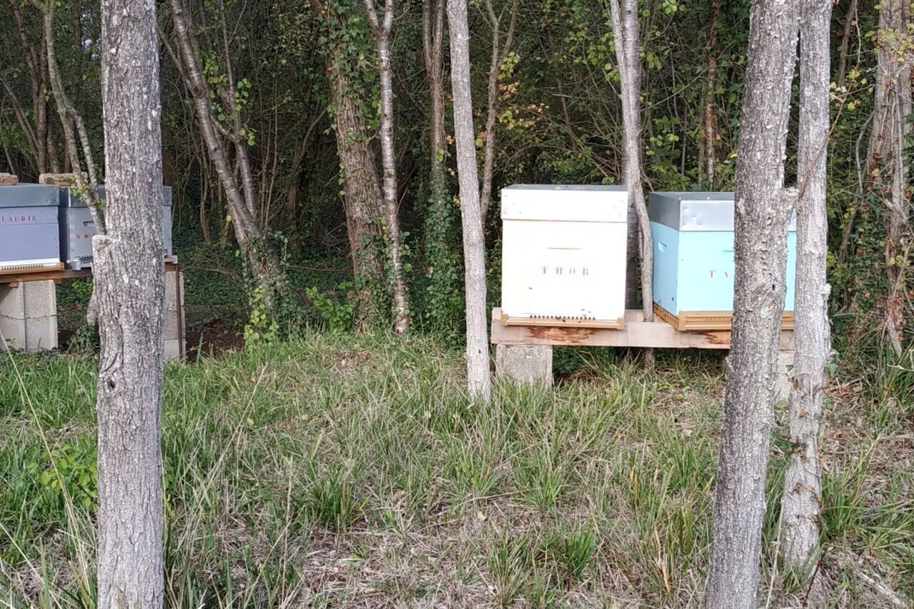 Une passion familiale