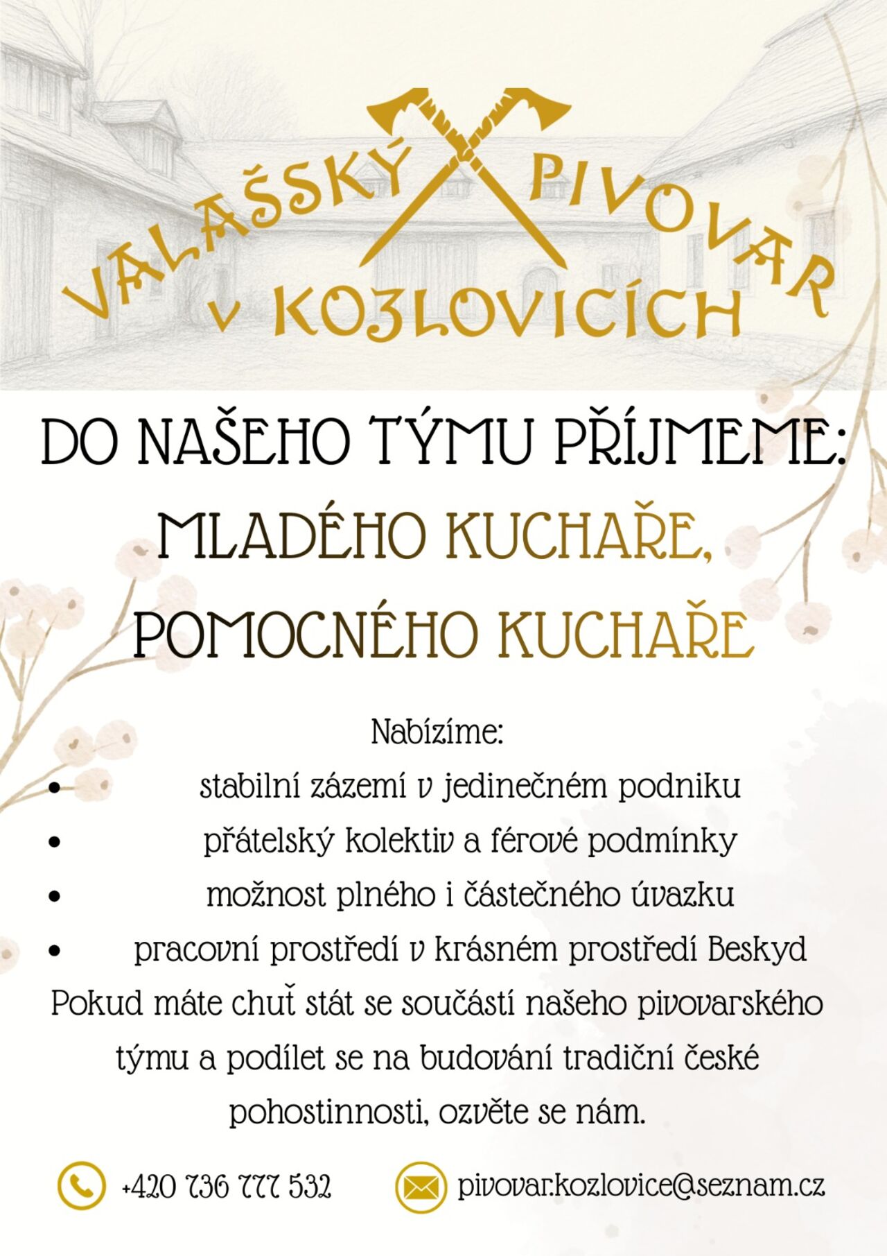 Příjmeme pomocného kuchaře/ku na HPP nebo DPP