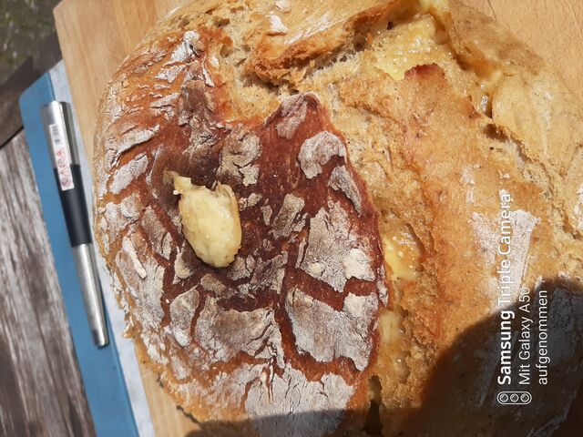 Brot mit Bergkäse gefüllt aus dem Dutch Oven