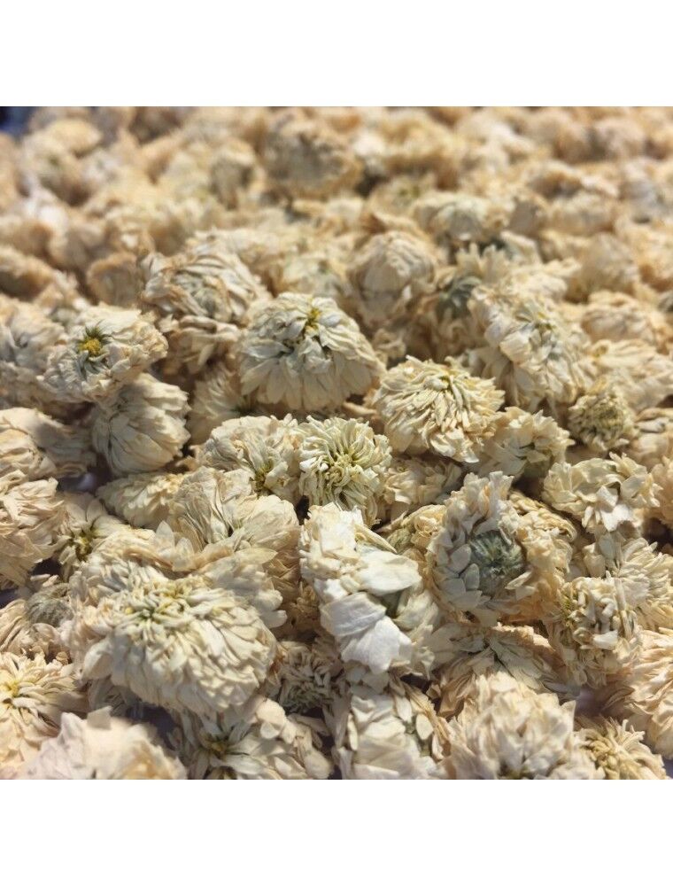 Camomille romaine - 30gr - 3,50€