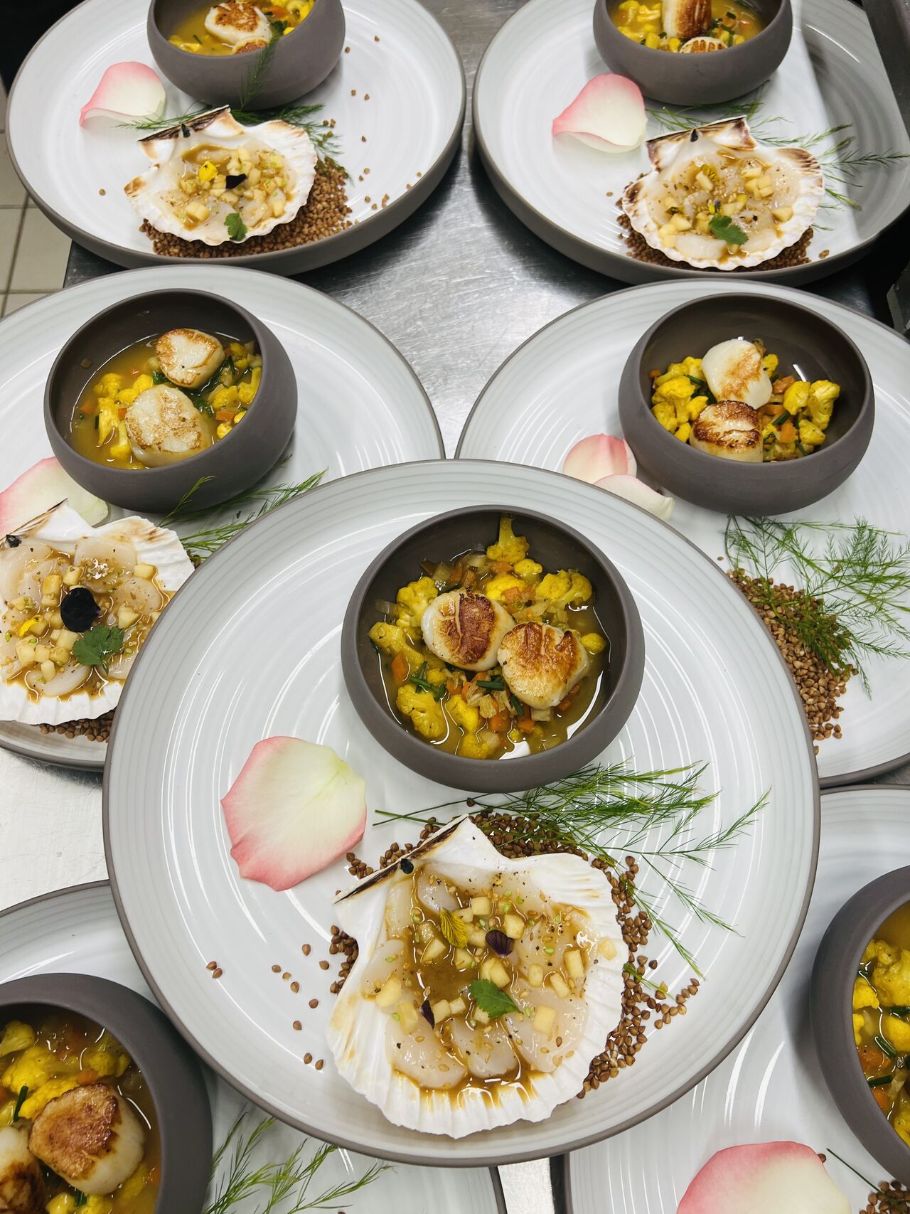 Saveurs de saint-jacques