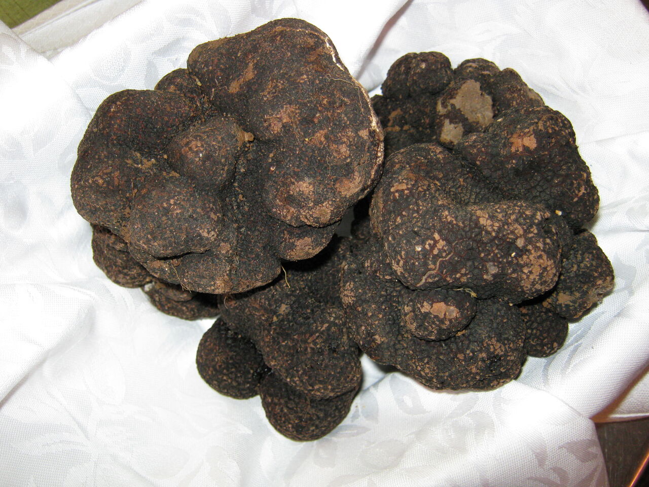 Tartufo Nero Pregiato 