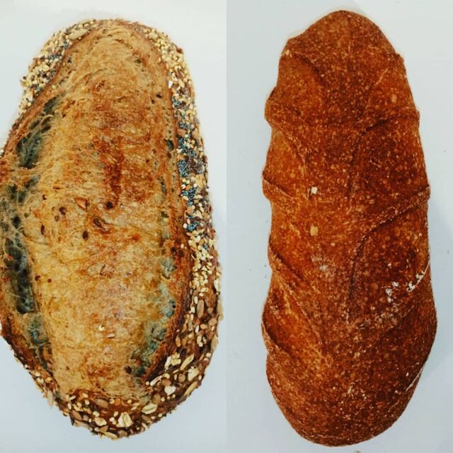 Le Bûcheron ou le Pain complet