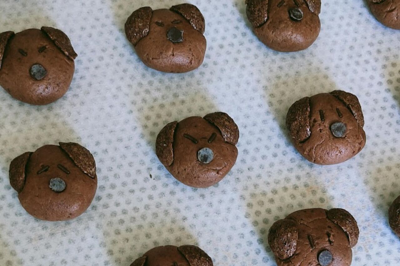 Biscuits tête de chien