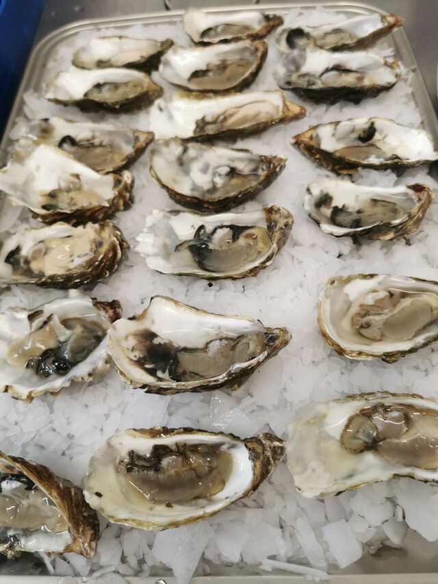 bar à huîtres 