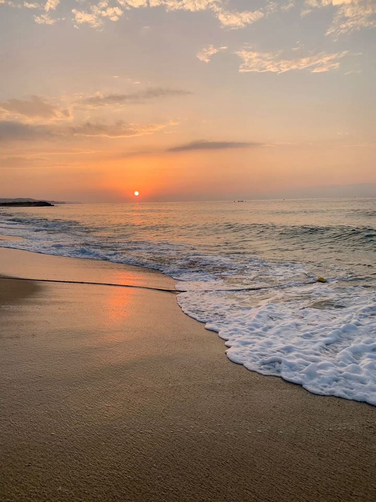 LE SAFRAN PART EN VACANCES !