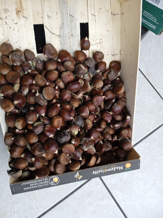 Châtaignes Portugal