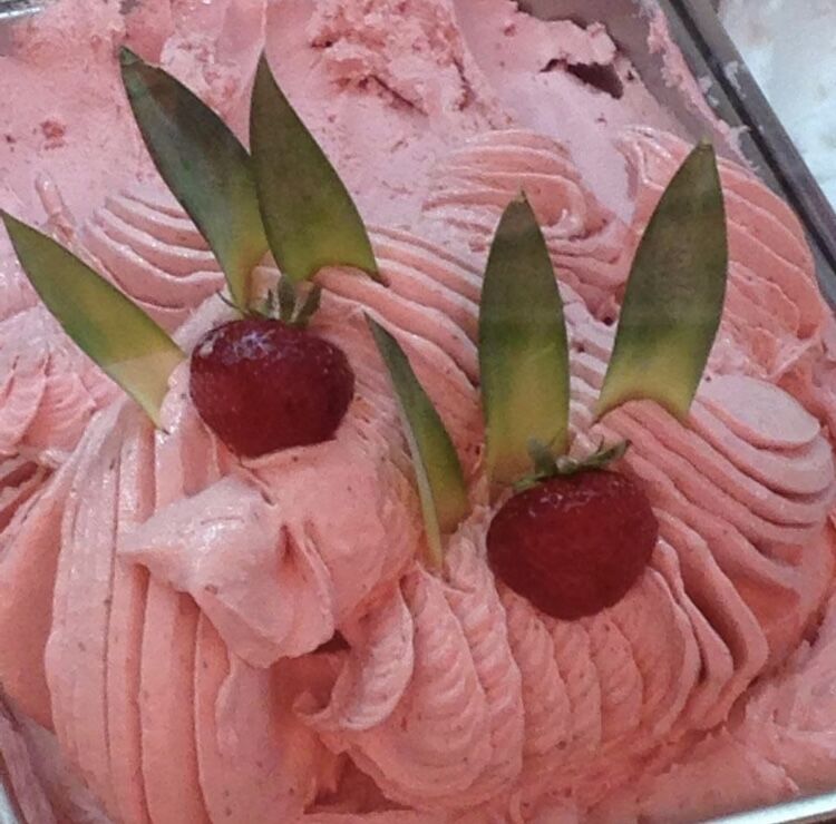 Erdbeere