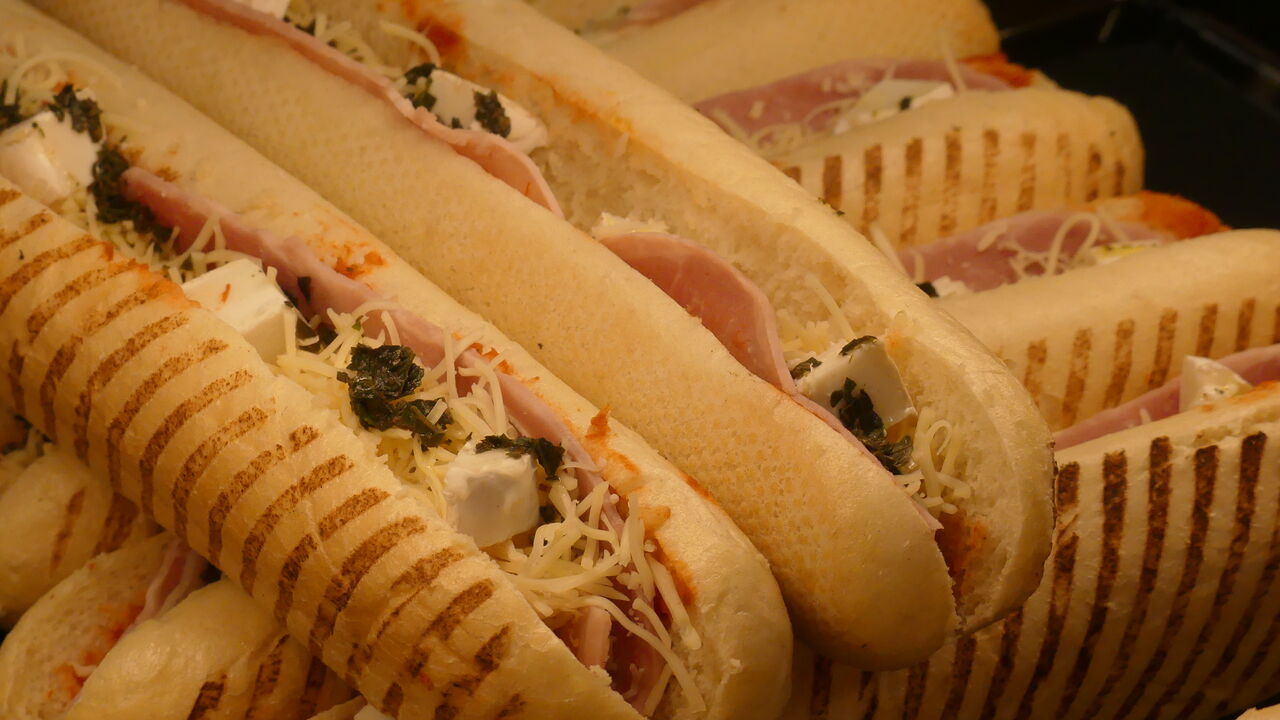 PANINI