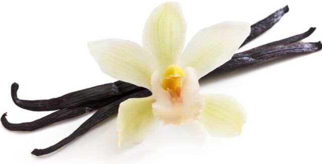 Vanille de bourbon bio Madagascar - 5,36€