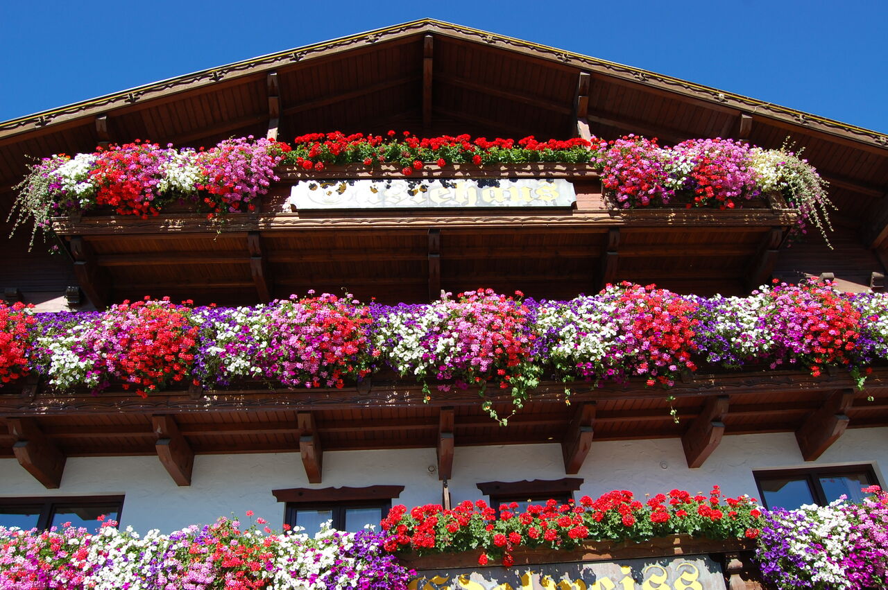 Sommer