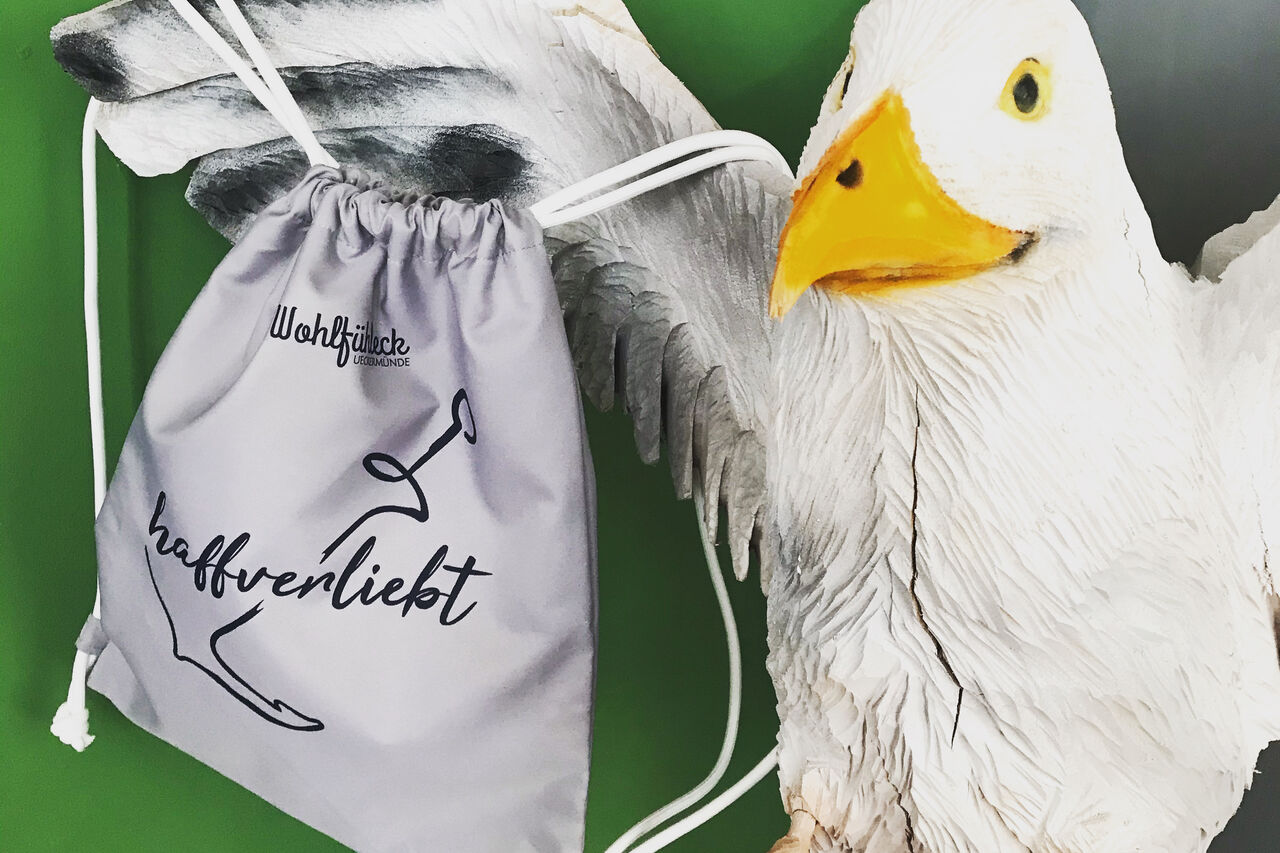 Ueckermünde Kollektion