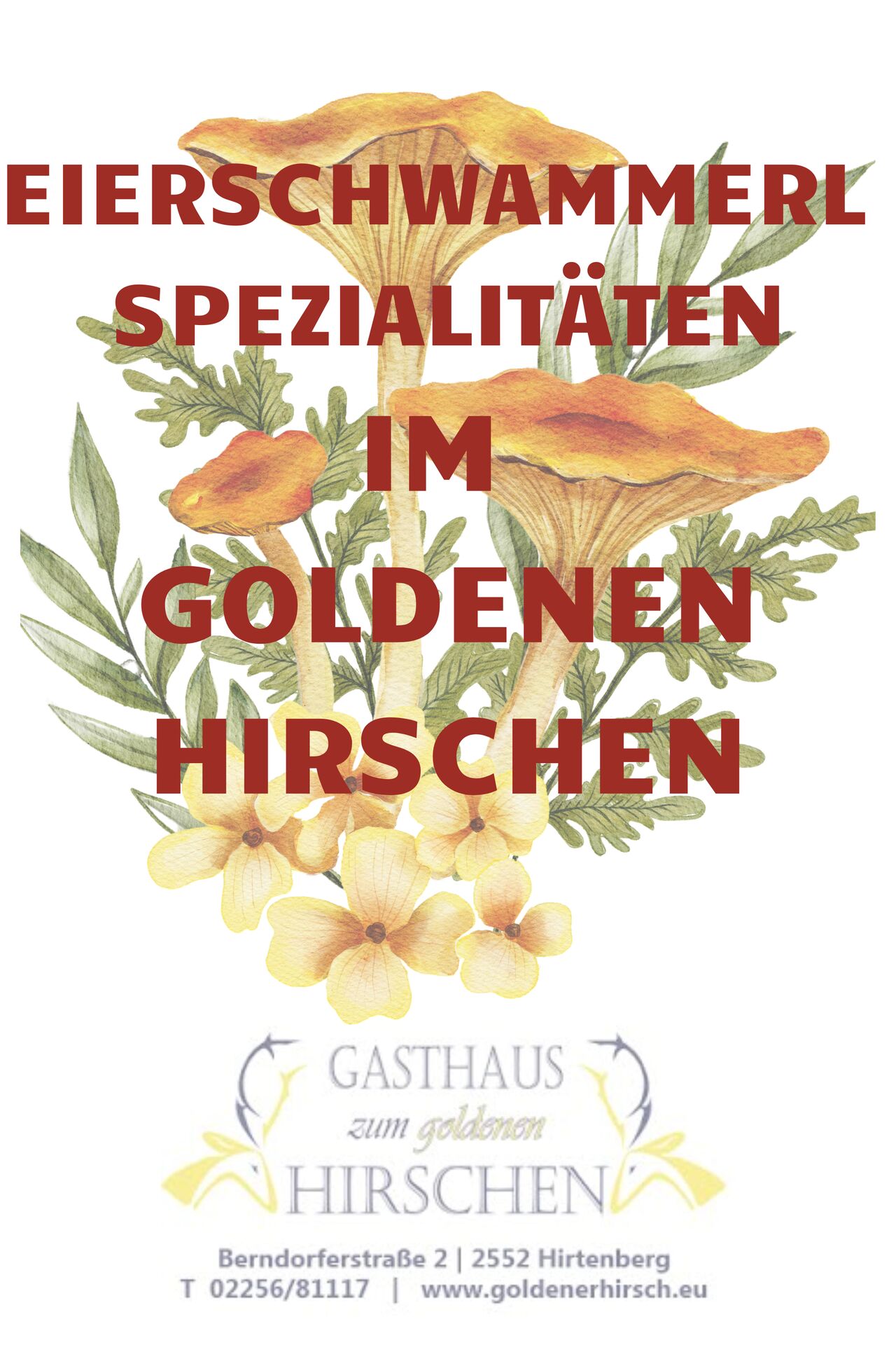 EIERSCHWAMMERLSPEZIALITÄTEN