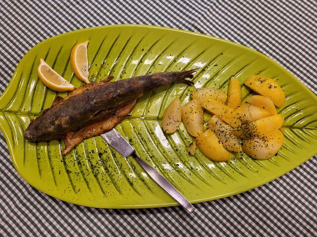 Forelle gebacken mit Salzkartoffeln und Beilagensalat