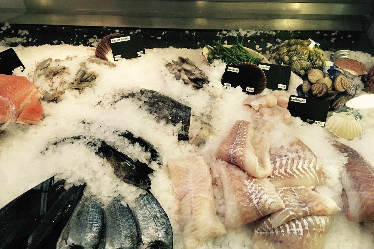 Für immer Fisch!