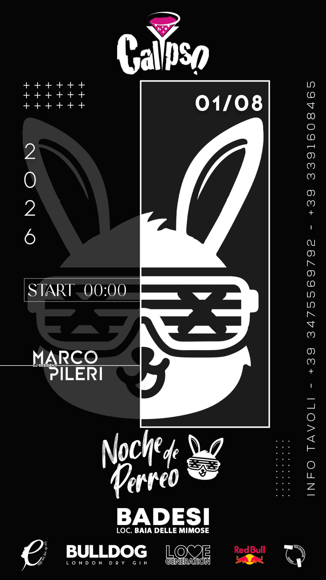 Noche del Perreo 🐰