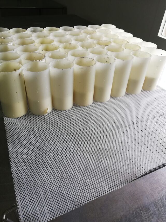 CROTTINS DE CHEVRE EN MOULE 