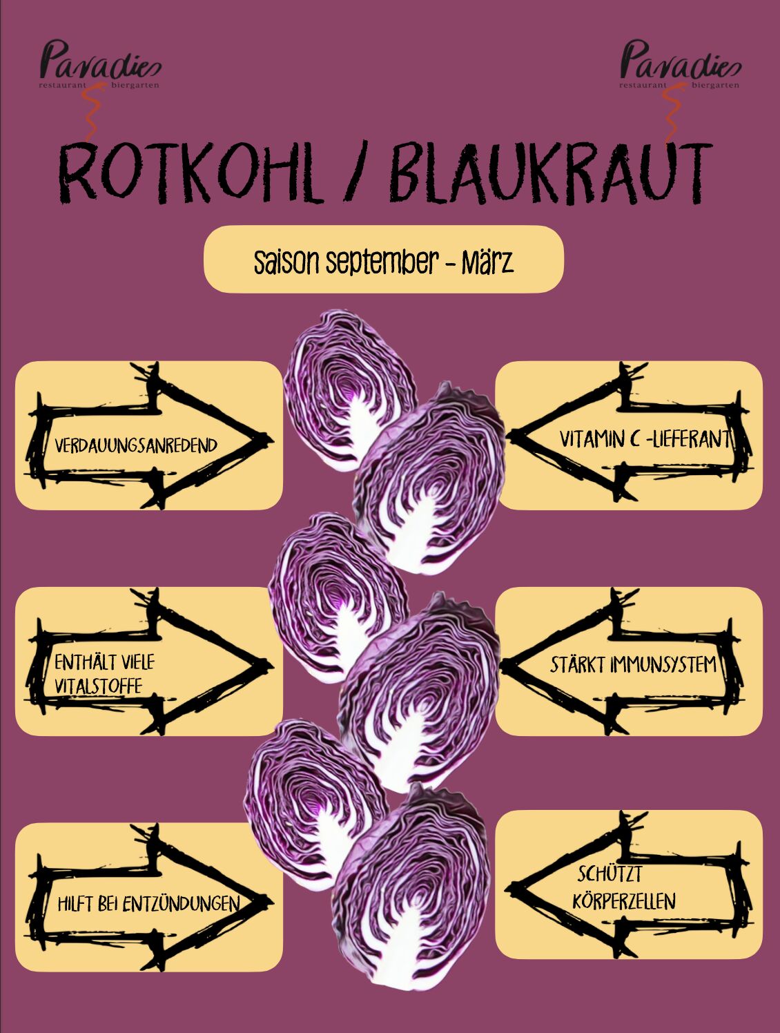 Der Star des Dezembers: Rotkohl. Fakten von Herkunft über Pflanzung bis hin zur gesunden Wirkung findet Ihr unter „über uns“