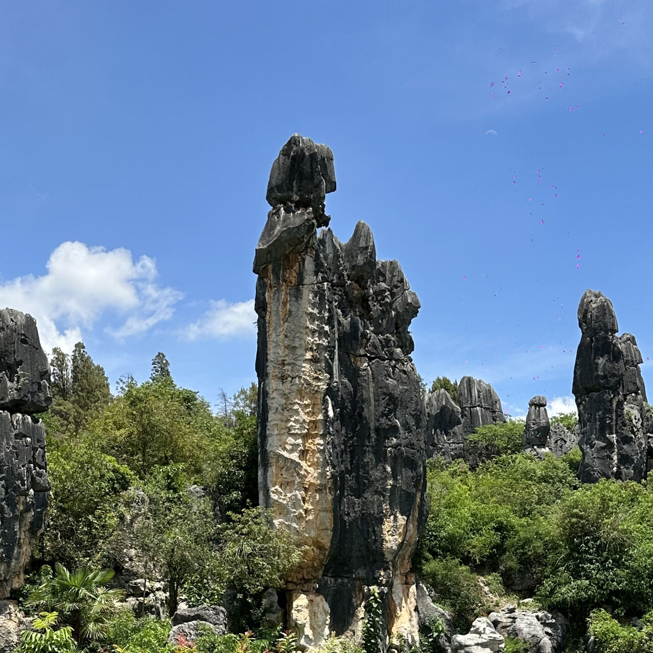 Ashima la Legende...