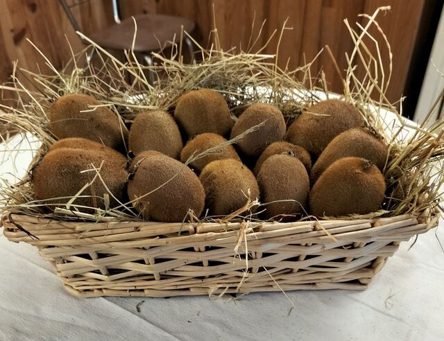 Gaec du printemps - disponible selon la saison