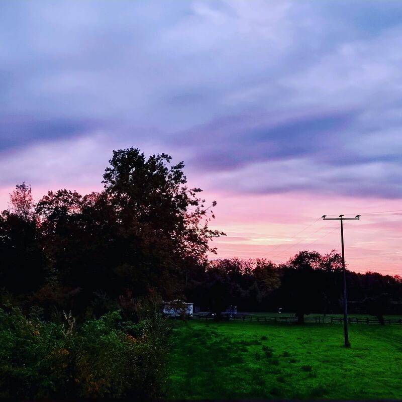 Morgenstund hat Gold im Mund 