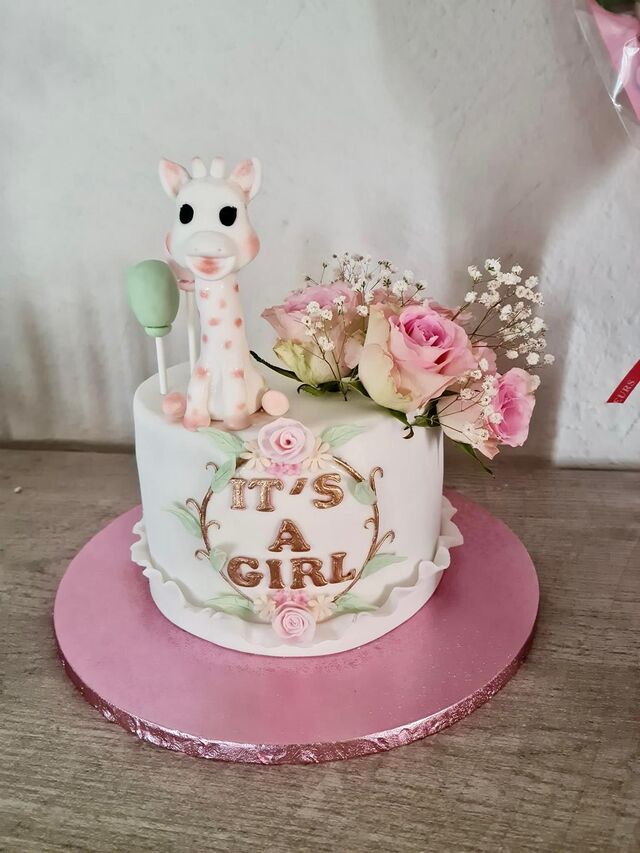 GENDER REVEAL, BABY SHOWER