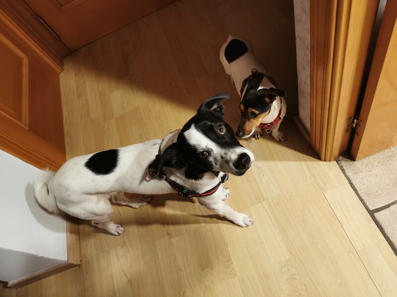 Nosotr@s somos Eidy y Pitilo 🤗