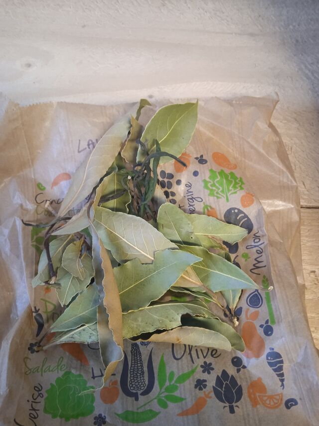 Lauriers 1 € le sachet 