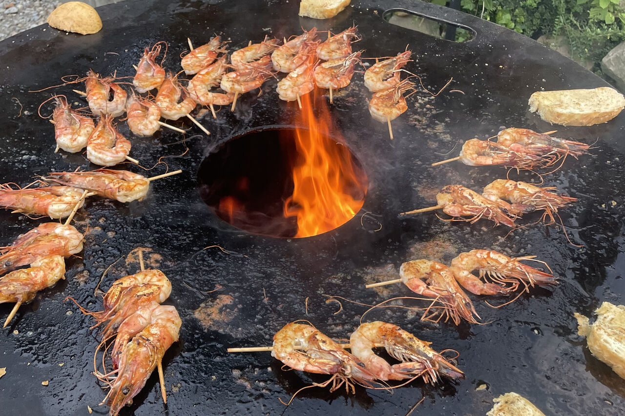 ****Gambas SATT für nur 33,90€****