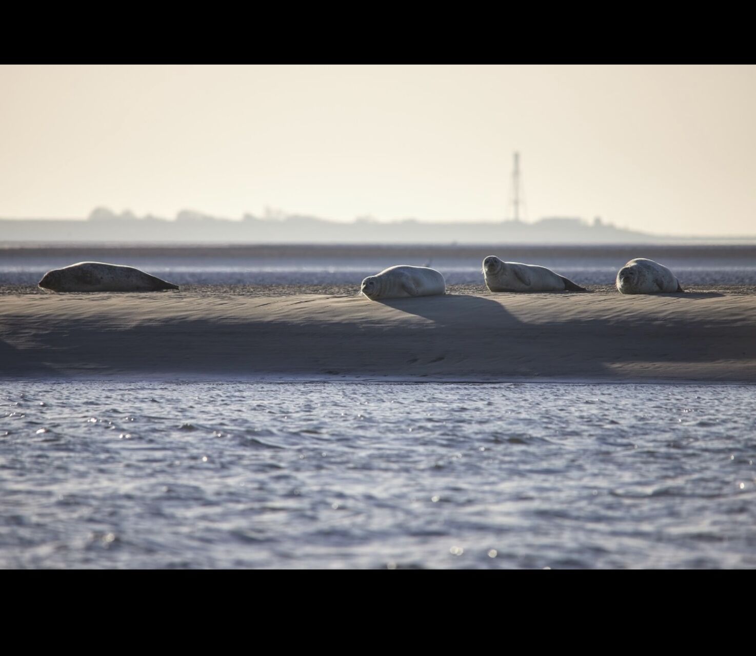 Unterkunft gesucht..?