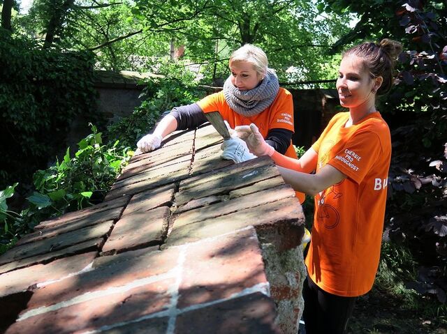 Dobrovolnické dny 2019